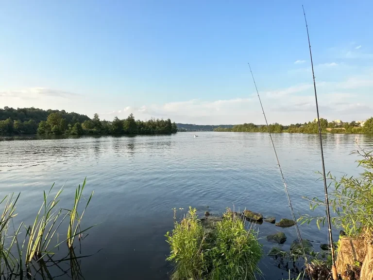 Angelurlaub in Bayern – Ihr fischreiches Revier an der Naabspitze. Entspanntes Angeln an der Naab-Donau-Mündung in Mariaort, direkt vor dem Hotel Krieger bei Regensburg.